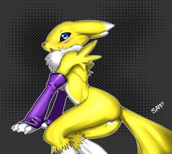 anthro bandai blush breasts digimon female pussy renamon solo thunder-renamon