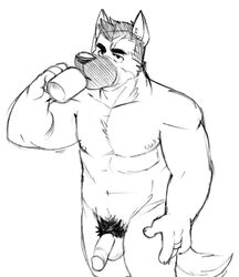 1boy anthro black_nose canine coffee_mug german_shepherd hair hammer_(character) humanoid_penis male male_only mammal nipples penis pubes solo vasuki white_background