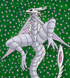 bakugan bakugan_(series) bakugan_battle_brawlers claws dragon european_mythology female feral genitals hi_res looking_at_viewer membrane_(anatomy) membranous_wings mythological_creature mythological_scalie mythology scales scalie shadeominus solo tail wavern wavern_(bakugan) western_dragon wings wyvern