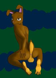 1boy anthro anus ass balls brown_eyes hindpaw issac_lazarus lagomorph male male_only mammal nude paws pose presenting rabbit solo