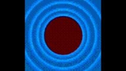 animated anon big_ass big_breasts blowjob cocinaluco32651 coffee coffee_mug compass female fundamental_paper_education handjob male/female meme miss_circle miss_circle_(fundamental_paper_education) penis sex table table_sex tagme thick_ass titjob video