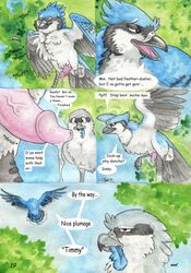 2013 :| annoyed avian bird blue_jay closed_eyes comic dialogue english_text erection evan_(windpaw) feathers feral feral_on_feral flying furry furry_only gay half-closed_eyes half-erect male penis precum shrike text throbbing timothy_(windpaw) traditional_media_(artwork) tree vein windpaw