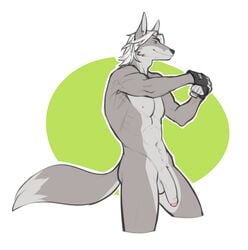 anthro balls big_tail canine flaccid flexing fox fur gloves green_eyes grey_fur hair male male_only mammal muscles nude penis plain_background short_hair simple_background solo spearfrost uncut velus white_hair