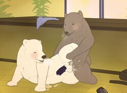 2014 animal_genitalia balls bear blush brown_hair cum cum_on_penis duo erection feral feral_on_feral fur furry furry_only gay grizzly_(shirokuma_cafe) grizzly_bear hair mabit male mammal nude open_mouth orgasm penetration penis polar_bear sex shirokuma shirokuma_cafe