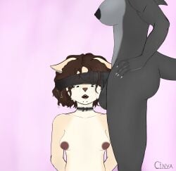 absurd_res animal_genitalia animal_penis anthro ass balls bodily_fluids breasts cinya cinya_(cinya) collar covered_eyes curly_hair domestic_cat duo equine_genitalia equine_penis erection felid feline felis female fish fur genital_fluids genitals gynomorph gynomorph/female hair hi_res intersex intersex/female kneeling mammal marine nipples nude open_mouth penis penis_on_face piercing precum scales scalie shark simple_background sweat tail trans_woman transfem vein veiny_penis
