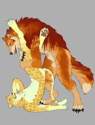 2025 abs animal_genitalia anthro balls black_nose blue_eyes canid canine canis chest_tuft claws digital_media_(artwork) digitigrade duo eye_contact felid finger_claws fur genitals hair hi_res holding_partner holding_partner's_leg jaguar leg_grab legs_up long_hair looking_at_another male male/male mammal markings multicolored_body multicolored_fur mythological_canine mythological_creature mythology nude open_mouth open_smile pantherine pawpads paws pink_nose pointy_ears prick_ears sheath simple_background skullsbesan smile spots standing tail teeth toe_claws tuft two_tone_body two_tone_fur upside-down werecanid werecanine werecreature werewolf wolf