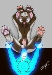 anal anal_sex balls better_version_at_source big_penis disembodied_hand domestic_ferret duo erection fur genitals ghost ghost_hand ghost_sex hands_behind_head heterochromia hi_res lying male male/male mammal multicolored_body multicolored_fur mustelid musteline on_back pawpads penetration penis spirit spread_legs spreading tongue tongue_out translucent translucent_penis true_musteline two_tone_balls two_tone_body two_tone_fur weasel zephyrpanthur