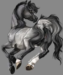 anus black_anus black_body black_fur black_mane black_pussy black_teats equid equine female feral fur genitals hi_res hooves horse mammal mane presenting presenting_anus presenting_pussy pussy raised_tail solo tail teats venlightchaser white_body white_fur yellow_eyes
