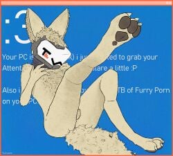 3_toes 4_fingers anthro balls big_ears blue_background bluescreen blush blush_lines canid canine digital_media_(artwork) digitigrade ear_markings feet fennec_fox fingers fluffy fluffy_chest fluffy_tail fox fur genitals hair headgear hi_res humanoid inner_ear_fluff looking_at_viewer machine male male_focus male_only mammal messy_hair multicolored_body multicolored_fur neckwear pawpads pixel_(artwork) png_file pop-up protogen protogen_visor raised_leg screen screen_face simple_background sitting smile solo tail toes touching_chest true_fox tuft twtastic visor