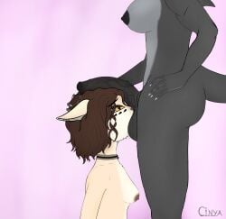 absurd_res animal_genitalia animal_penis anthro ass ball_sniffing balls bodily_fluids breasts cinya cinya_(cinya) collar curly_hair domestic_cat duo equine_genitalia equine_penis erection felid feline felis female fish fur genital_fluids genitals gynomorph gynomorph/female hair hand_on_head hi_res intersex intersex/female kneeling mammal marine nipples nude penis penis_on_head penis_sniffing piercing precum scales scalie shark simple_background sniffing sweat sweaty_balls sweaty_genitalia tail trans_woman transfem vein veiny_penis