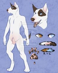 1boy 2014 anthro bull_terrier canine furry male male_only mammal model_sheet sheath solo stellary