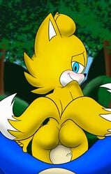 age_difference amatsucat anal animated ass blue_eyes blue_fur blush canine dipstick_tail fox from_behind_position fur grin hedgehog looking_pleasured male mammal multi_tail multicolored_tail romp sex skye_prower sonic_(series) sonic_the_hedgehog yaoi