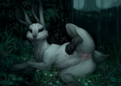 anus crookedtrees female feral forest grass lagomorph looking_at_viewer lying mammal nature nipples outside presenting pussy pussy_juice rabbit raised_leg solo spreading tree water