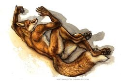 1boy 2014 anthro anus ass canine claws fox fur kenket looking_at_viewer lying male male_only mammal on_side paws plain_background red_fox solo