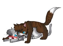 1boy 1girls alpha_channel blue_eyes blush brown_fur closed_eyes couple duo feline female feral fur furry hawkfrost_(warriors) ivypool_(warriors) male mammal one_eye_closed open_mouth plain_background raised_tail sex smile straight teeth warriors_(cats) white_fur wink