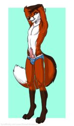 1boy 2014 animal_genitalia anthro arms_above_head briefs brown_hair canine canine_penis clothing digitigrade fox hair knot male male_only mammal penis solo thewhitefalcon topless underwear