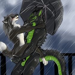 2014 anthro ass balls blush canine closed_eyes dragon duo erection fox fur furry furry_only gay hair knot long_hair male mammal nude open_mouth outside penetration penis raining scalie sex smile umbrella water yaoi-no-mikan