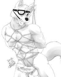 1boy abs anthro ball_gag balls biceps bound canine drnx erection eye_patch eyewear fur gag gagged humanoid_penis male male_only mammal muscles nude pecs penis sketch solo toned vein wolf