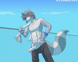 akaro anthro bluemaster claws clothes day erection fur furry furry_tail grey_fur grey_hair hair hand_on_hip lip_piercing looking_at_viewer lukiro male male_only mammal outdoors penis piercing raccoon short_hair sky solo standing stripes tail topless towel uncut