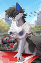 2025 5_fingers absurd_res anthro areola biped blue_eyes bottomless bottomless_anthro bottomless_female breasts canid canine claws clothed clothed_anthro clothed_female clothing countershade_torso countershading day digital_drawing_(artwork) digital_media_(artwork) eye_scar facial_scar female finger_claws fingers fur genitals grey_body grey_fur grey_hair grey_tail hair hand_on_breast hand_on_own_breast handpaw hi_res holding_breast inner_ear_fluff looking_at_viewer mammal nipple_piercing nipples outside partially_clothed partially_clothed_anthro partially_clothed_female paws piercing raxel scar shirt sky smile solo tail teeth topwear topwear_only tuft vulva wet wet_body wet_clothing wet_fur wet_shirt wet_t-shirt wet_topwear