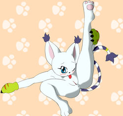 anthro anus autocunnilingus bandai bigger_version_at_the_source breasts digimon feline female gatomon imminent_cunnilingus imminent_oral killy00 mammal nipples pawpads paws pussy solo spread_legs spreading