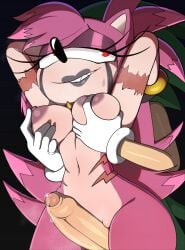 amy rose from mashed by spiralart