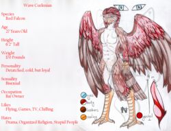 1boy anthro avian bird claws erection falcon javelin_nightpaw looking_at_viewer male male_only model_sheet nekromantiafox penis precum sakuri_rainne smirk solo text wave_curlenian wings