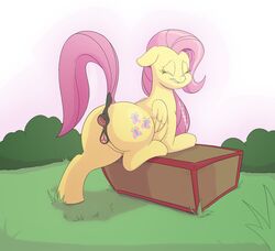 anus ass box clitoris closed_eyes cutie_mark equine feathers female feral fluttershy_(mlp) friendship_is_magic gaping hair hooves long_hair mammal my_little_pony nokemop outside pegasus pink_hair presenting pussy raised_tail rear_view smile solo wings