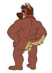 1boy anthro ass canine colored looking_at_viewer male male_only mammal mooning nude plain_background solo striptease vasuki white_background