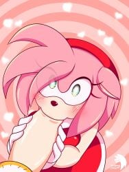 amy rose from sonic (series) by insane okamy