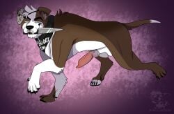 absurd_res animal_genitalia animal_penis balls brown_body brown_fur bublijoestar canid canine canine_genitalia canine_penis canis collar digital_media_(artwork) domestic_dog erection evil_grin fan_character feral fur genitals glistening glistening_genitalia hair hi_res holding_object kerchief knife knot knotted_penis male mammal mask muscular muscular_feral muscular_male neckerchief neckwear nico_(bublijoestar) nude penis pit_bull presenting simple_background smile snaggle_tooth solo tail teeth torn_ear walking wearing_mask white_body white_fur