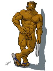 1boy 5_toes abs anthro balls biceps big_muscles brown_fur brown_nipples canine chestnuts_(artist) flip_flops fur hindpaw human_feet leaning looking_at_viewer male male_only mammal muscles nipples nude paws pecs penis plantigrade sandals soft solo standing thick_penis toes toned vein