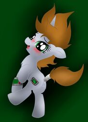 2012 anus ass blush brown_hair cutie_mark equine fallout_equestria fan_character female feral fur green_eyes grey_fur hair horn jetwave littlepip looking_at_viewer mammal my_little_pony open_mouth pipbuck plain_background presenting pussy solo tail_wrap unicorn wrap