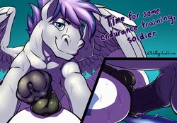 2014 anal anal_sex animal_genitalia blitzstar cutie_mark duo equine etchpony fan_character feral friendship_is_magic frottage grin horse horsecock looking_at_viewer male male_only mammal mane multiple_males muscles my_little_pony pegasus penetration penis royal_guard_(mlp) sex sweat taker_pov vein veiny_penis wings yaoi