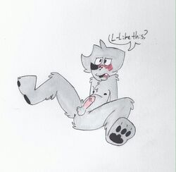 1boy anthro balls blush canine embarrassed erection male male_only mammal penis pose sitting solo spread_legs spreading text unknown wolf