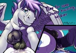 2014 anal animal_genitalia blitzstar cum cum_inside cutie_mark duo english_text equine etchpony fan_character feral friendship_is_magic frottage grin horsecock looking_at_viewer male male_only mammal mane multiple_males muscles my_little_pony pegasus penis precum royal_guard_(mlp) sex sweat taker_pov text wings yaoi