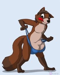 1boy anthro bag clothing dweet-tea furry male male_only panties penis sheath solo thong underwear