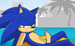 1boy 2014 anthro anthro_male anthro_only balls blue_fur color colored erection floatie hedgehog inkbunny jammiez looking_at_viewer male male_focus male_only mammal no_sex nude outdoors outside palm_tree palm_trees penis pool seductive_look seductive_smile sega solo solo_anthro solo_male sonic_(series) sonic_the_hedgehog sonic_the_hedgehog_(series) swimming_pool