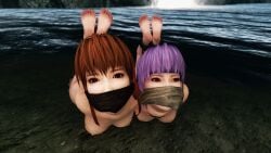 2girls 3d ayane_(doa) bondage cloth_gag dead_or_alive gag gagged hogtie kasumi_(doa) m7seven mod nude nude_female purple_hair red_hair skyrim water