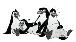 2014 20th_century_fox 4boys anal anal_sex animal_genitalia anthro avian beak bird blush cloaca cum cum_in_ass cum_inside dreamworks dripping exhaustion feathers foursome gay greyscale group group_sex kaisertaylorproducts kowalski madagascar_(series) male male_only monochrome multiple_males nude open_mouth oral penetration penguin private rico_(madagascar) sex skipper skipper_(madagascar) the_penguins_of_madagascar threesome transparent_background wet yaoi