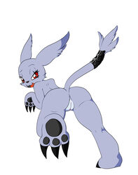 2014 anthro anus ass bandai bent_over black_nose claws digimon female fur gazimon grey_fur hindpaw killy00 looking_at_viewer looking_back open_mouth pawpads paws plain_background presenting presenting_hindquarters pussy solo white_background