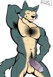 absurd_res anthro armpit_hair balls beastars body_hair canid canine canis chest_hair colored darkened_genitalia darkened_penis genitals half-erect hand_behind_head happy_trail hi_res humanoid humanoid_genitalia humanoid_penis legoshi_(beastars) male mammal muscular muscular_male nipples nude penis simusart smile solo standing wolf