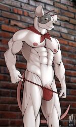 3:5 abs antennae_(anatomy) anthro biker_mice_from_mars brick_wall bulge clothing clothing_pull hi_res iudicium86 kerchief male male_only mammal mouse murid murine muscular neckerchief nipples rodent solo thong underwear underwear_pull vinnie_(bmfm) wall_(structure)