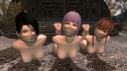 3d 3girls ayane_(doa) black_hair bondage cloth_gag dead_or_alive gag gagged hogtie kasumi_(doa) m7seven mod momiji_(ninja_gaiden) multiple_girls nude nude_female purple_hair red_hair skyrim