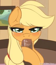 1boy 1girls 2014 animated applejack_(mlp) blinking blonde_hair dark-skinned_male dark_skin earth_pony equine fellatio fellatio_from_feral female feral freckles friendship_is_magic fur furry green_eyes hair half-closed_eyes horse human_on_feral inside interspecies long_hair looking_at_viewer male male_human/female_feral male_on_feral mammal my_little_pony oral orange_fur penis pony pov ratofdrawn saliva sex straight text vein zoophilia