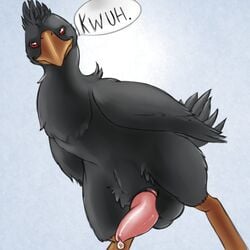 2013 animal_genitalia avian balls beak bipedal bird chocobo cum erection feathered_wings feathers feral final_fantasy genital_slit looking_at_viewer looking_down low-angle_shot male male_only outside penis precum red_eyes simple_background slit smile solo tail_feathers tapering_penis text thick_penis tieldraggy video_games wings