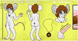 1boy 2014 anthro balls erection eyewear fur glasses looking_at_viewer lupeyroo male male_only mammal model_sheet mouse nude pavel_silvertail penis rodent rodent_penis sheath smile solo standing