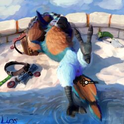 1:1 animal_genitalia anthro avian bandoneon bathing bird breath_of_the_wild cloaca clothing discarded_clothing feet genitals hi_res kass_(tloz) liosoun lounging male musical_instrument nintendo nude partially_submerged raised_leg rito sky solo spread_legs spreading talons teasing the_legend_of_zelda toes water wet