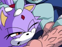 animal_ears animated anthro blaze_the_cat blue_fur cat_ears claws color dboy eyelashes feline female fur games gif hedgehog male mammal orange_eyes penis penis_slap purple_fur sega slap slapping sonic_(series) sonic_the_hedgehog straight werehog white_fur