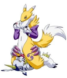 anthro bandai breasts darthglacier digimon female fox fur furry gabumon interspecies male mammal nipples oral plain_background pussy renamon sex straight